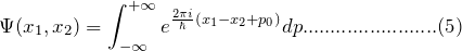 \[ \Psi(x_1,x_2)=\int_{-\infty}^{+\infty}e^{\frac{2\pi i}{\hbar}(x_1-x_2+p_0)}dp........................(5) \]