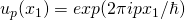 u_p(x_1)=exp(2\pi i px_1/\hbar)